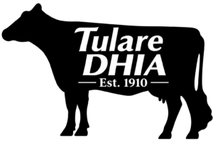 Tulare DHIA cow logo